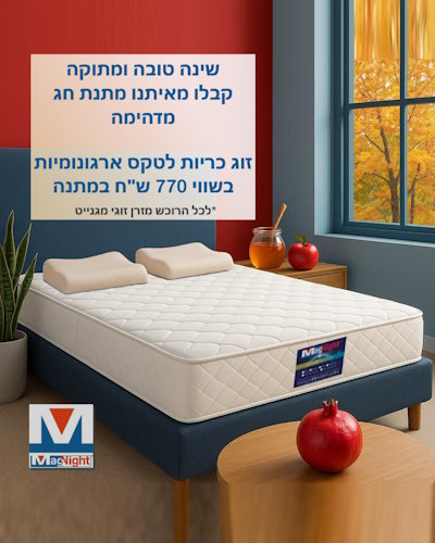 באנר מבצע ראש השנה במגנייט - 2025 מובייל